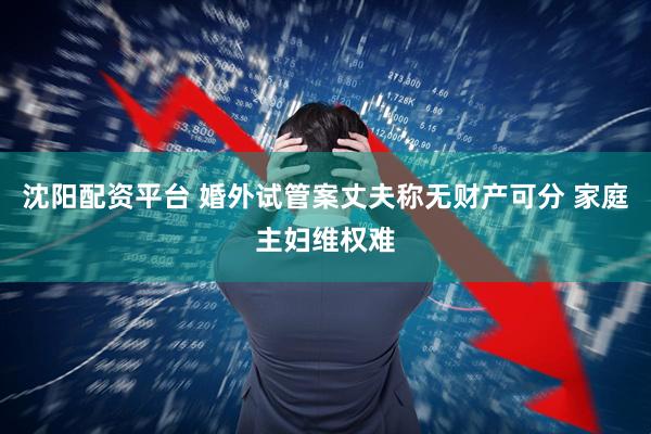 沈阳配资平台 婚外试管案丈夫称无财产可分 家庭主妇维权难